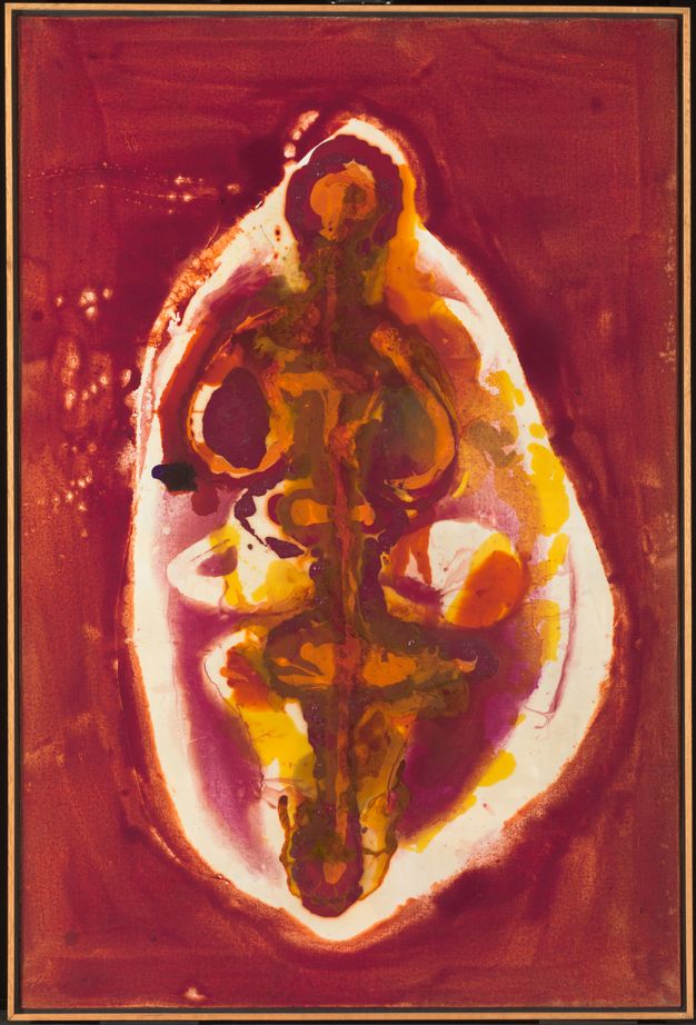 Painting. A roughly oval shaped field is surrounded by a deep red background. The oval is outlined in white and within, abstracted lines and forms in orange, earthy green, and yellow bubble like organs forming around a skeleton.